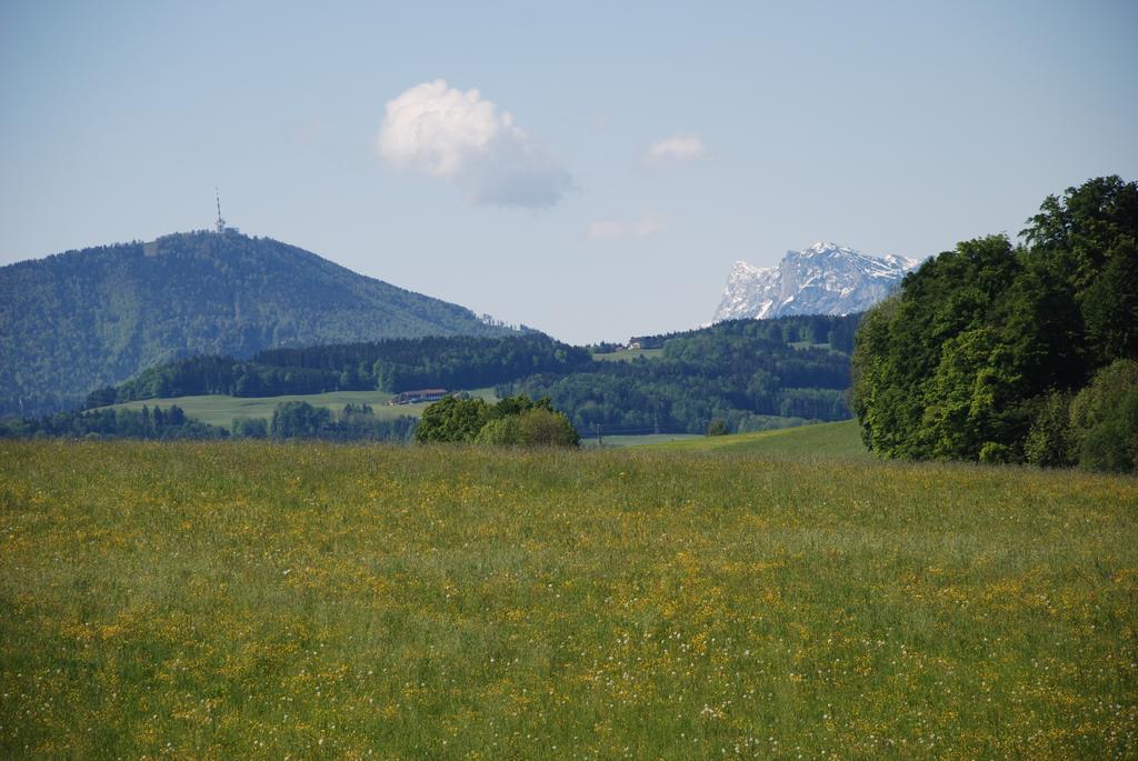 Landhaus Brieger เฮนน์ดอร์ฟ อัม วัลลาร์ซี ภายนอก รูปภาพ