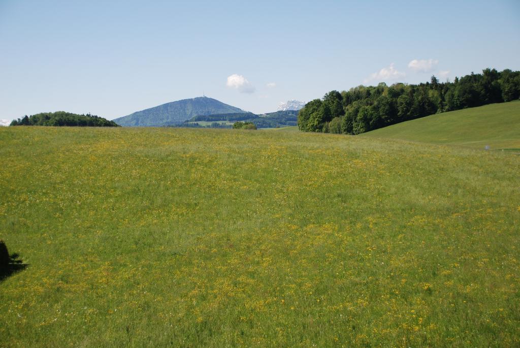 Landhaus Brieger เฮนน์ดอร์ฟ อัม วัลลาร์ซี ภายนอก รูปภาพ